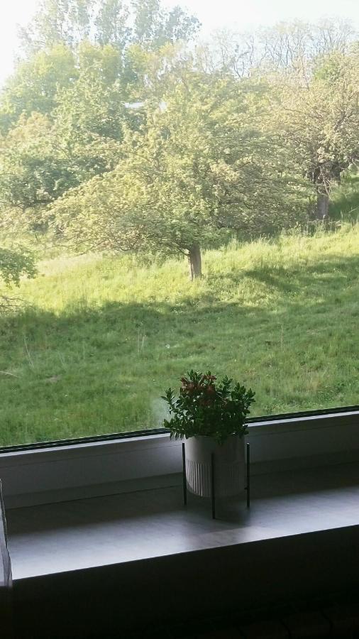 Apartmán Przylesie Uniejow Exteriér fotografie